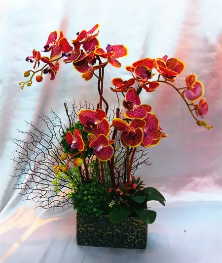 Decoration products from Wonder Living